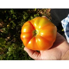 Etli dilimli salçalık domates