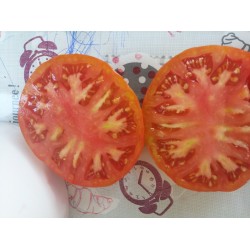 Aycan köy domatesi iri ince kabuklu lezzetli