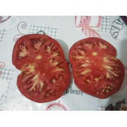 Malatya Yeşilyurt iri etli domates
