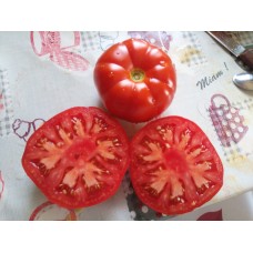 Aycan köy domatesi iri ince kabuklu lezzetli