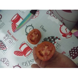 Keçi memesi domates
