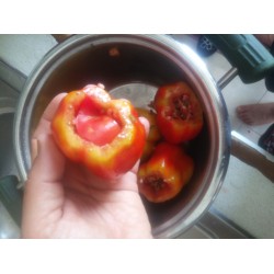 Dolmalık domates içi boş