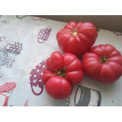 İri dilimli pembe köy domatesi