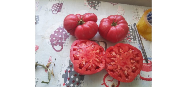 İri dilimli pembe köy domatesi