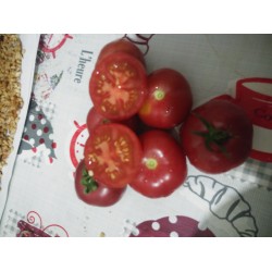 Cevizden iri pembe sulu domates