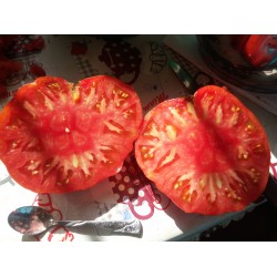 Çok iri pembe domates ince kabuklu