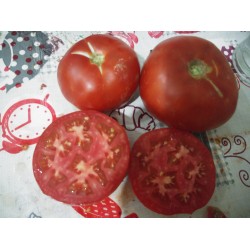 Kırmızı  yayla domatesi