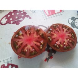 Likopen deposu siyah domates iri