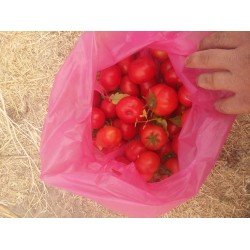 Delice(Deşti) salkım domates
