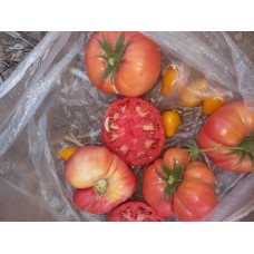 Avustralya pembe domatesi