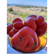 Balıkesir Kırmızı iri Köy domatesi Okka domates