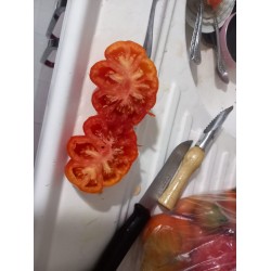 Kırmızı dilimli balkabağı domates