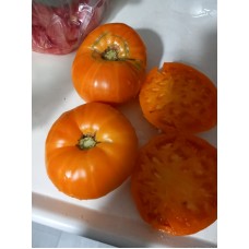 Kellogs turuncu çok iri domates