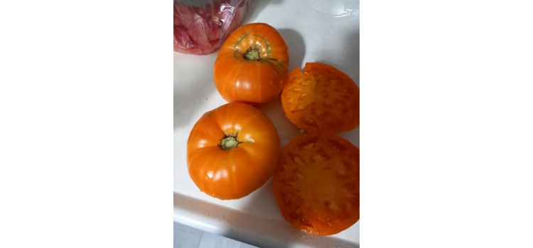 Kellogs turuncu çok iri domates