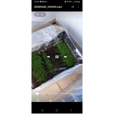 Hobi fide serası  Paket 1 F11