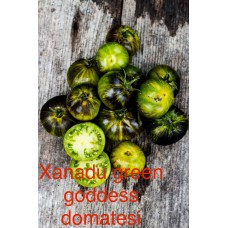 Xanadu green goddess domatesi