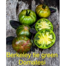 Berkeley tie green domatesi 